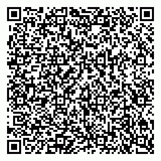 vCard 79300760303