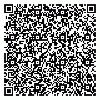 vCard 79300760313