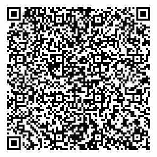 vCard 79300760854