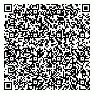 vCard 79300760873