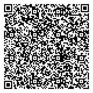 vCard 79300840039
