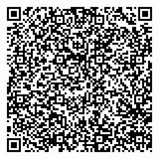 vCard 79300840139