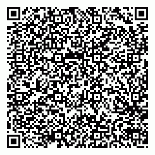 vCard 79300840173