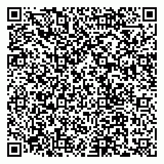 vCard 79300840380