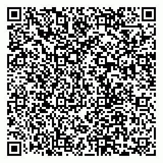 vCard 79300901895