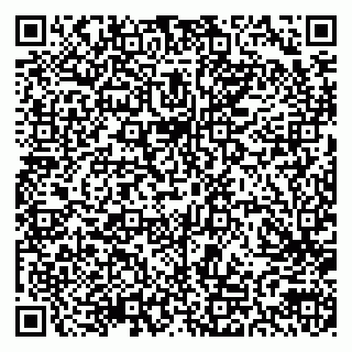 vCard 79300901931
