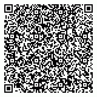 vCard 79300901977