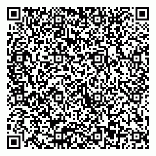 vCard 79300903659