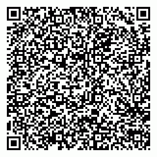vCard 79300903681