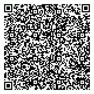 vCard 79300903703