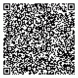 vCard 79300903710