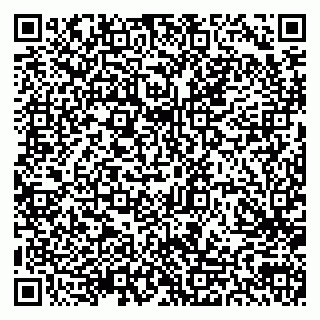vCard 79300903711