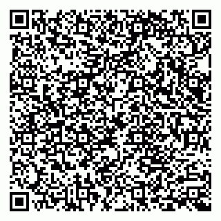 vCard 79300903738