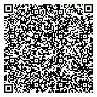 vCard 79300903739