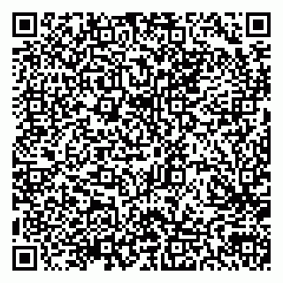 vCard 79300903743