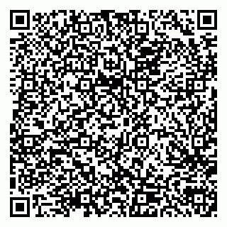 vCard 79300903748