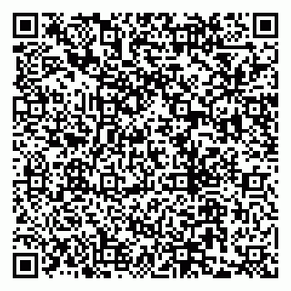 vCard 79300903774