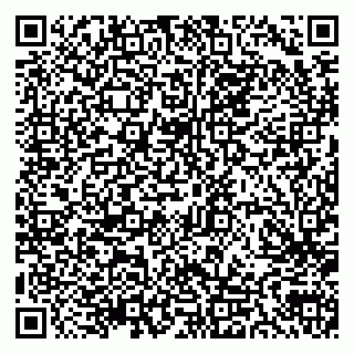 vCard 79300903782