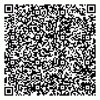 vCard 79300903795