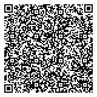 vCard 79300903800