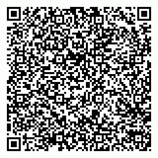 vCard 79300903803