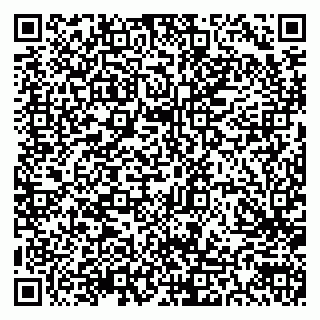 vCard 79300903807