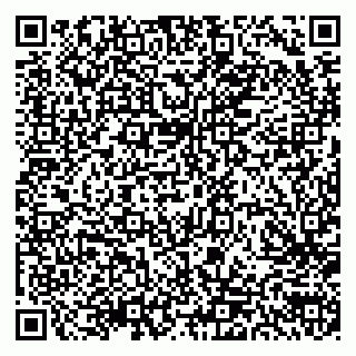 vCard 79300903819