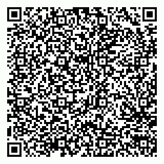 vCard 79300903821