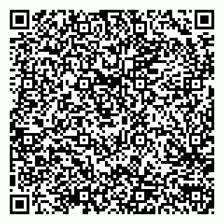 vCard 79300903839