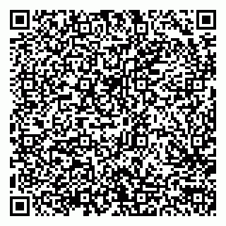 vCard 79300903851