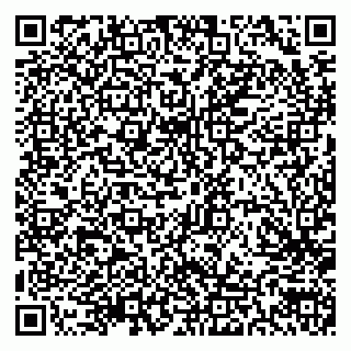 vCard 79300903863