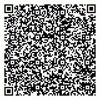 vCard 79300903873