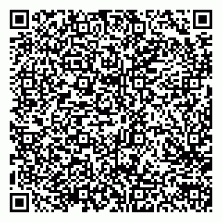 vCard 79300903875
