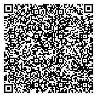 vCard 79300903881