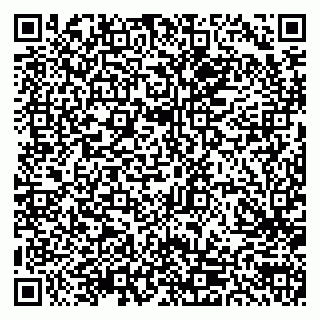 vCard 79300903888