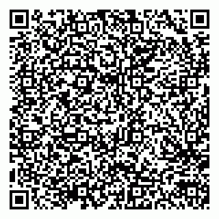 vCard 79300903925