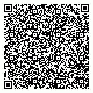 vCard 79300903927