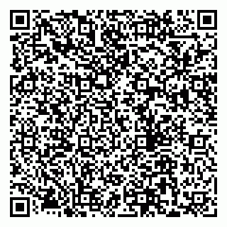 vCard 79300903931