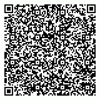 vCard 79300903938