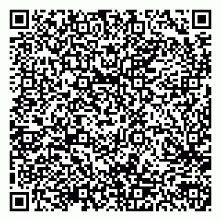 vCard 79300903939