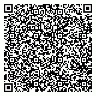 vCard 79300903951
