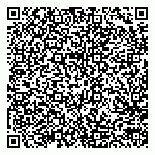 vCard 79300903970