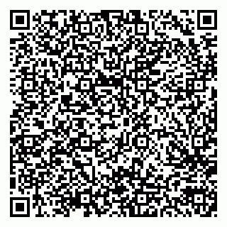 vCard 79300903981