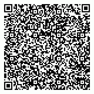 vCard 79300905029