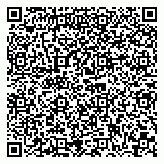 vCard 79300905389