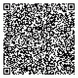 vCard 79300905476