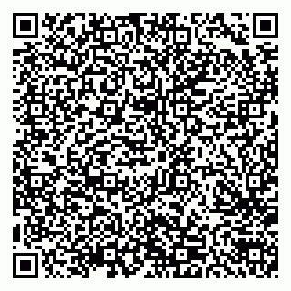 vCard 79300905838
