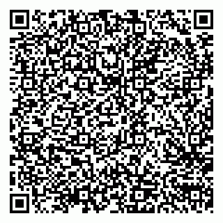 vCard 79300907279