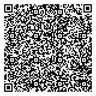 vCard 79300907333
