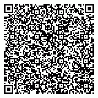 vCard 79300907337